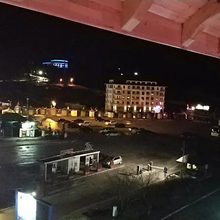 Zvezdica * ズラティボール